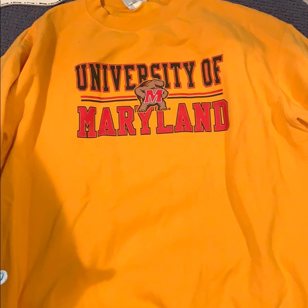 university of maryland sweatshirt (champion)
